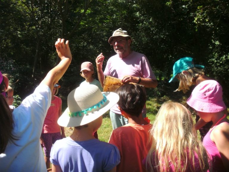 Besuch bei den Bienen